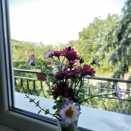 51 בית הארחה קרנבו