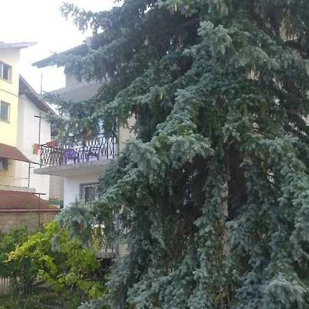 51 בית הארחה