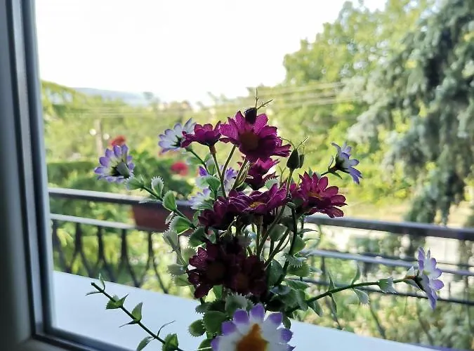 51 Gæstehus Kranevo